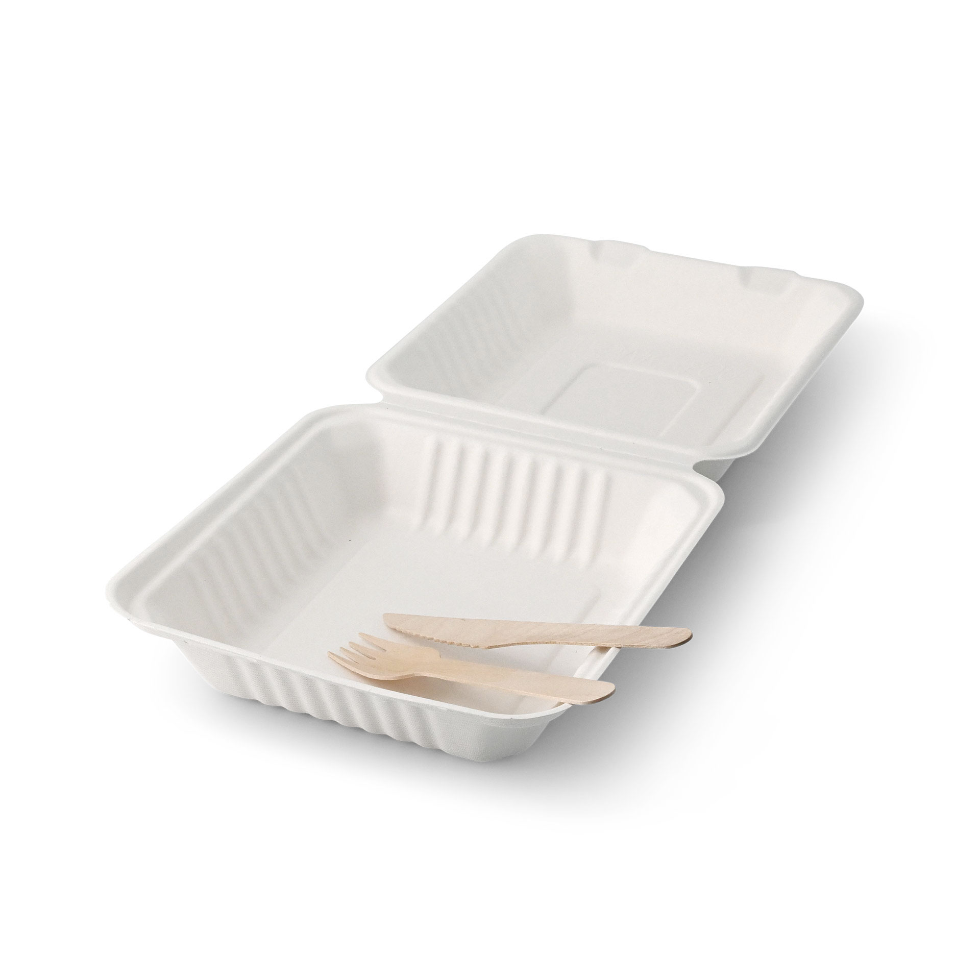 Take-away Boxen aus Zuckerrohr 22 x 18,5 x 7 cm, rechteckig