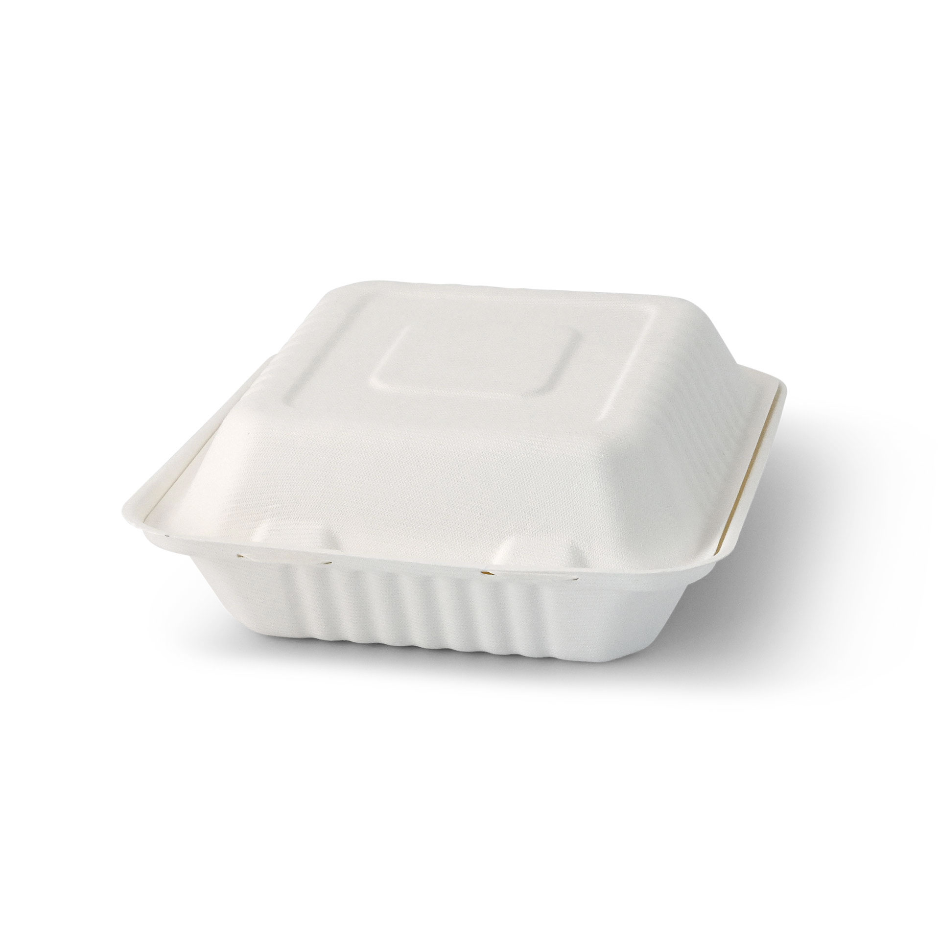 Take-away Boxen aus Zuckerrohr 22 x 18,5 x 7 cm, rechteckig